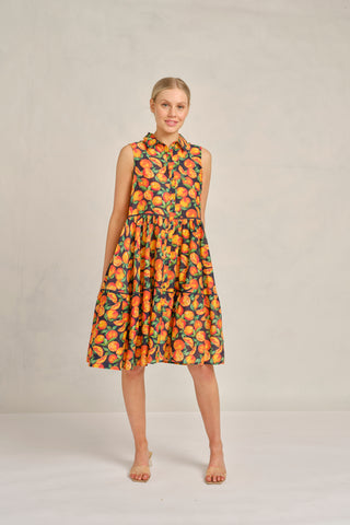 Gigi Cotton Silk Dress in Navy Valencia Print