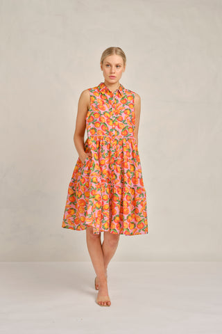 Gigi Cotton Silk Dress in Pink Valencia Print