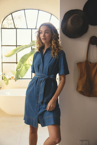 Odyssey Denim Dress