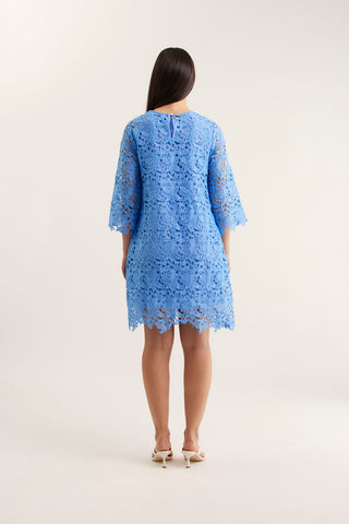 Claire Lace Dress In Cornflower