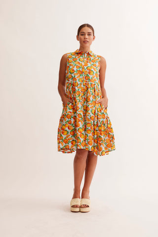 Gigi Cotton Silk Dress in Ice Valencia Print